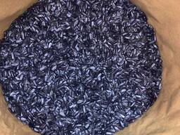 Насіння соняшнику для пересіву чи пожнивних посівів