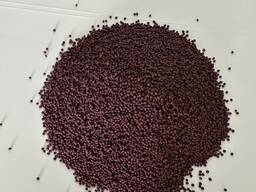 Насіння сидератів (озимий ріпак)