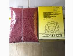 Насіння цукрового буряка Портланд від Лаєн Сідс.