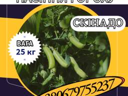 Насіння цукрового гороху Скінадо (25 КГ)