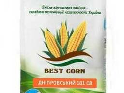 Насіння кукурудзи Дніпровский 181 СВ (ФАО 180)
