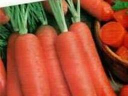 Насіння овочевих культур