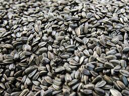 Насіння соняшника, нерафінована олія, шрот