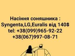 НАСIННЯ соняшника:Syngenta Suzuka HTS 4750грн.  , 