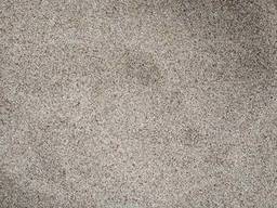 Насіння Тимофіївки