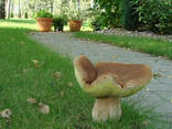Настоящая грибница белого гриба - свежий зерновой мицелий - фото 5