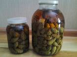 Купить Гриб веселка(2022 свежий, лесной. )сосновые шишки, гриб чага купить Украина - фото 8