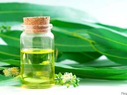 Натуральное масло Эвкалипта, 1 литр