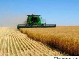 Найму комбайн работа для комбайна 2018 Николаев