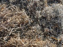 Куплю Стружку стальную, чугунную