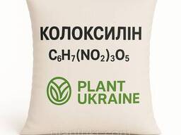 Колоксилін сухий ВВ 18,5 кг | Cellulose nitrate | Нітроцелюлоза | CAS 9004-70-