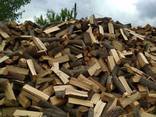 Низькі ціни! купити дрова ДУБ твердих порід Горохів - фото 1