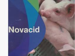 Новацид