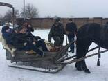 Новогодний отдых на базе отдыха в Полтавской области - фото 1