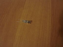 Новий приход, багато позицій, недорого.