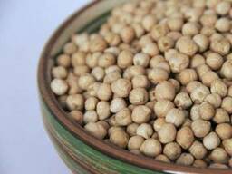 Нут оптом в Киеве