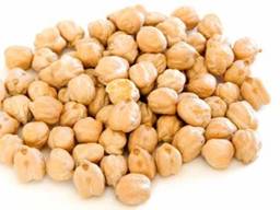 Нут "Заховит" 300 тонн