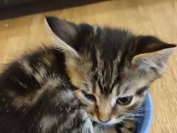 Нужен кредит от частного лица/инвестора на сумму 300 000