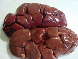 Нирки яловичі Black Angus