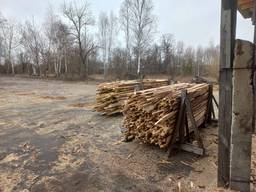 Обапол сосновий