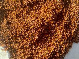 Облепиха сушеная 2020г заготовки