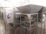 Оборудование для жарки и фасовки - фото 2