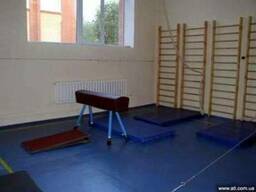 Оборудование гимнастическое: конь, брусья, бревно, мостик др