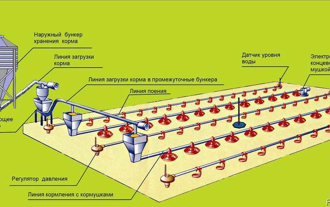 Оборудование для напольного выращивания бройлеров