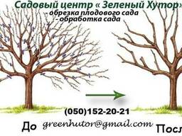 Обрезка плодового сада, декоративных кустов и деревьев. Борисполь , Киевская область.