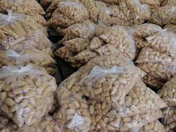 Обрезки хлеба, булка, сухарь