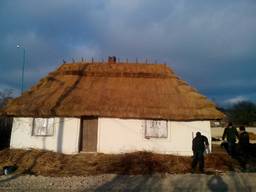 Очеретяні покрівлі