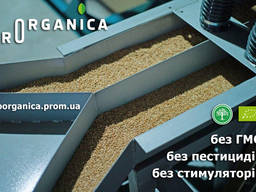 Очищення зерна до 99.5% на МПО (решета) КВ2 (калібрування), на вібропневмостолі