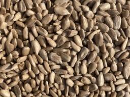 Очищене ядро соняшника для Харчової Промисловості