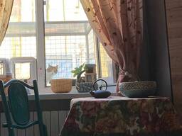 Однокомнатная в Одессе центре города