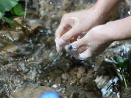 Одноразовое мыло для учреждений, в кейсе, в пластиковых боксах 20 листов в мыльнице...