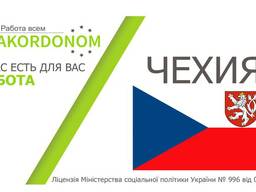 Официальное трудоустройство в Чехии