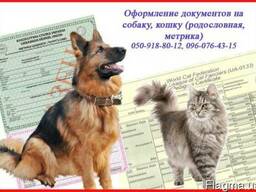 Оформление документов на собаку, кошку (родословная, метрика