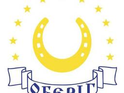 Медецынская страховка