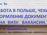 Оформление документов для открытии рабочей визы. - фото 1