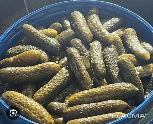 Огірки квашені