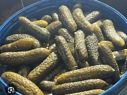 Огірки квашені