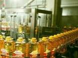 Oil - photo 3