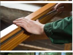 Окна деревянные (сосна, дуб) от производителя.