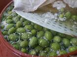 Оливки зелені з кісточкою вагові , Албанія