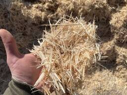 Опилки с оцилиндровачного станка