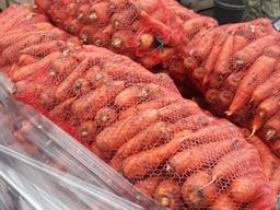 Оптом продам морковь товарную