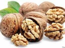 Орех грецкий