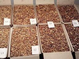 Орех грецкий и Ядро грецкого ореха