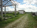 Оренда приміщення, свинокомплекса, ферми. - фото 2