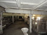 Оренда приміщення, свинокомплекса, ферми. - фото 3